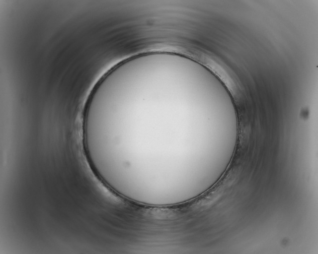 X0000102501092200808221748