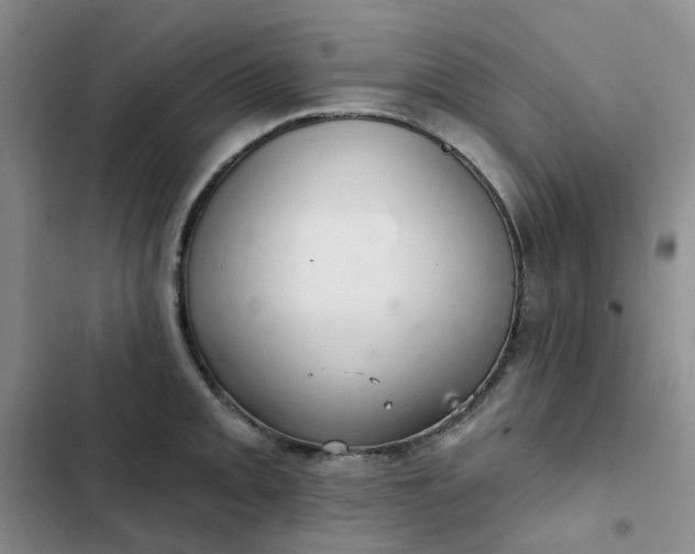 X0000102501093200808221748