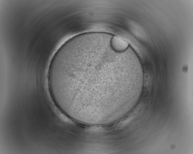 X0000102501094200808221748