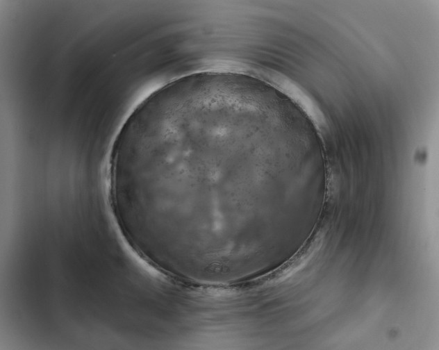 X0000102501095200808221748