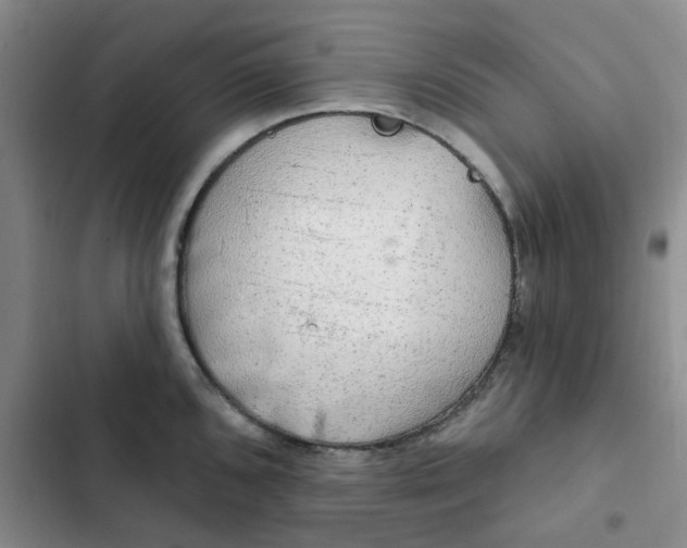 X0000102501096200808221748