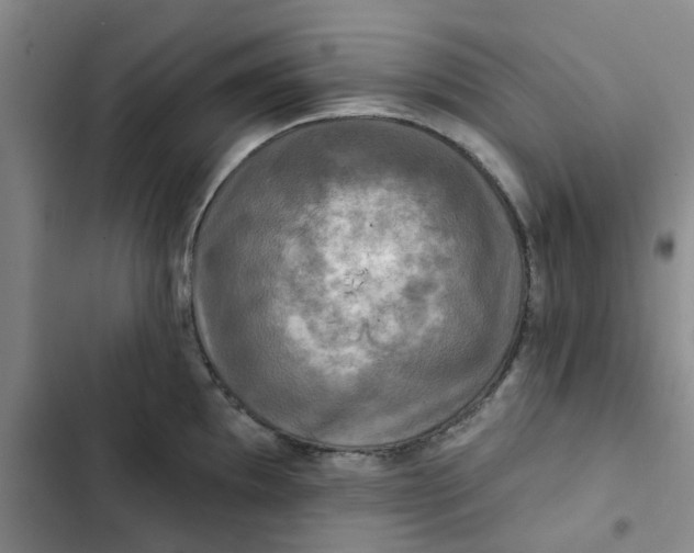 X0000102501097200808221748