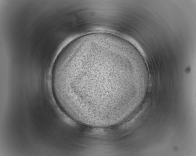 X0000102501098200808221748