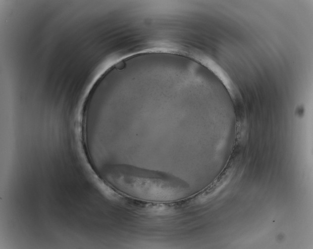 X0000102501099200808221748