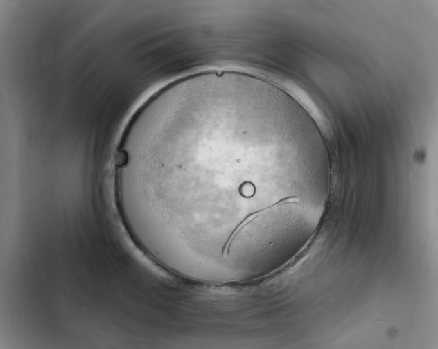 X0000102501100200808221748