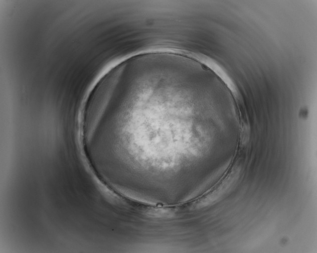 X0000102501101200808221748