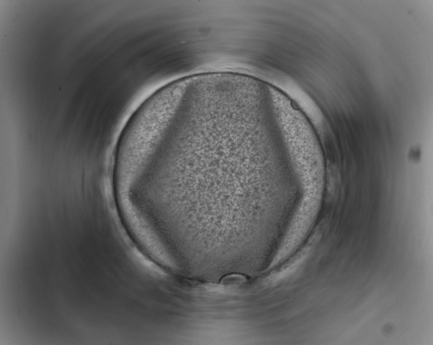 X0000102501102200808221748