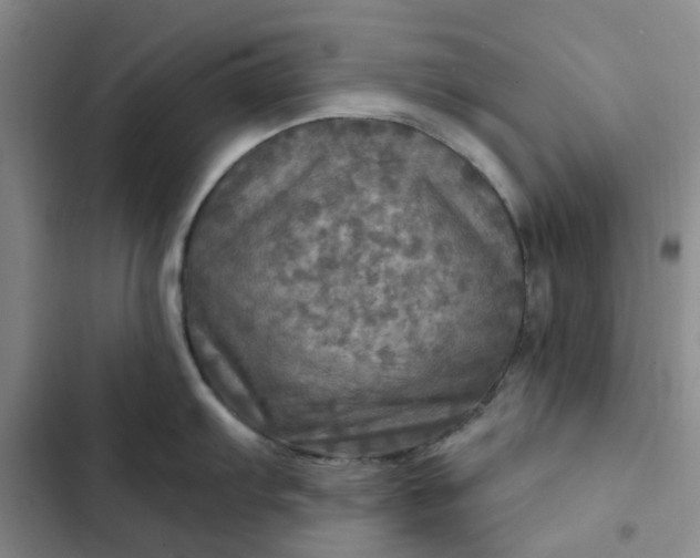 X0000102501103200808221748