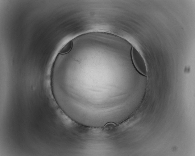 X0000102501104200808221748