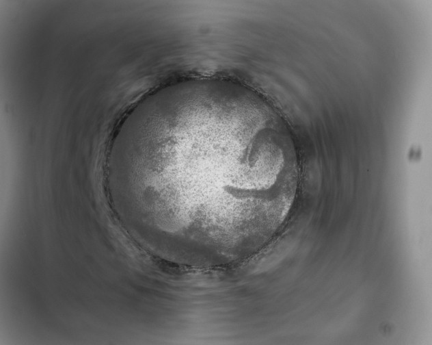 X0000102501105200808221747