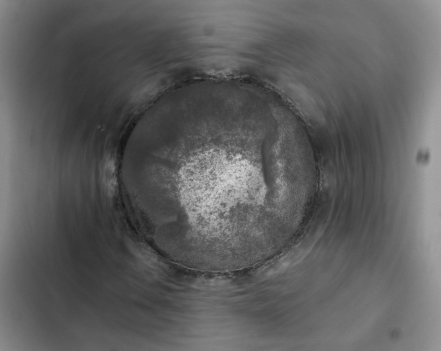 X0000102501106200808221747