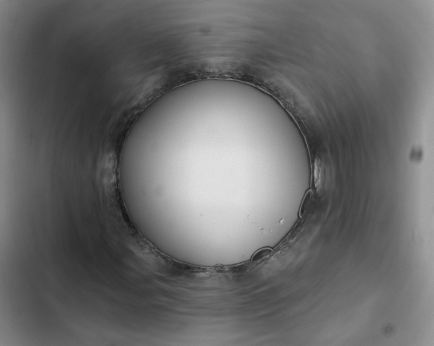 X0000102501107200808221747