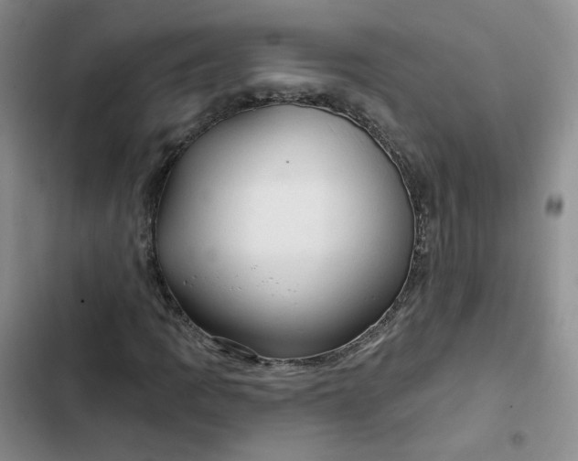 X0000102501109200808221747