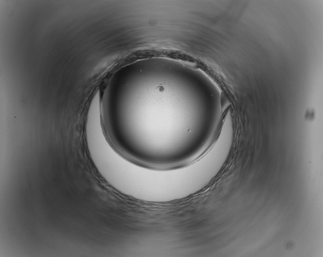 X0000102501110200808221747