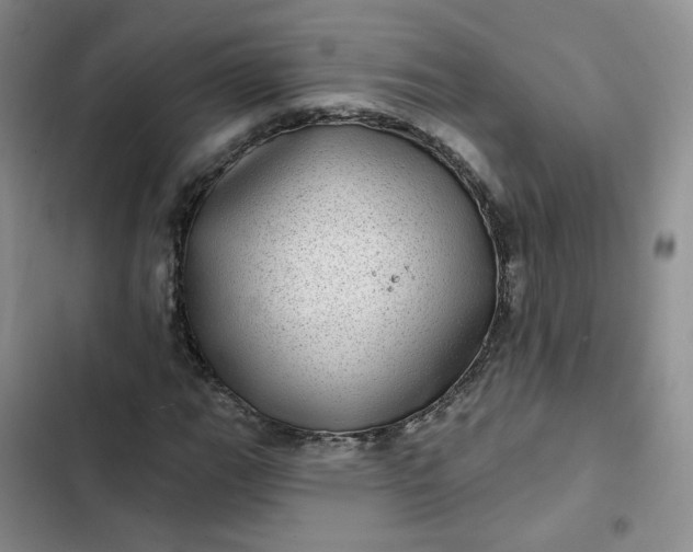 X0000102501111200808221747