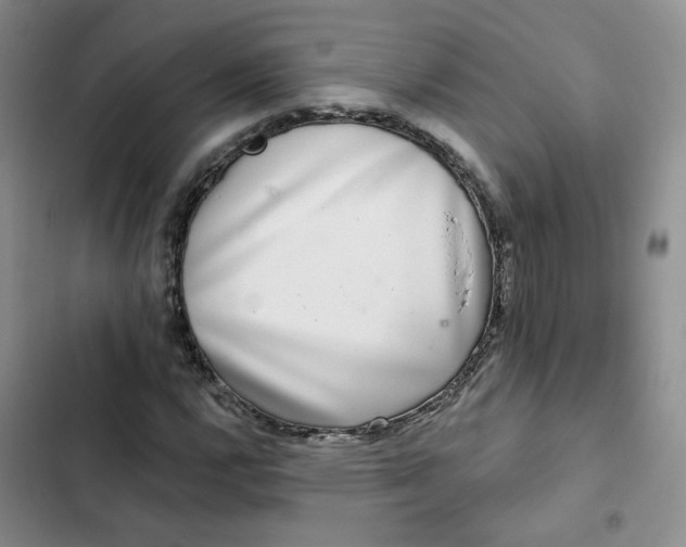 X0000102501112200808221747