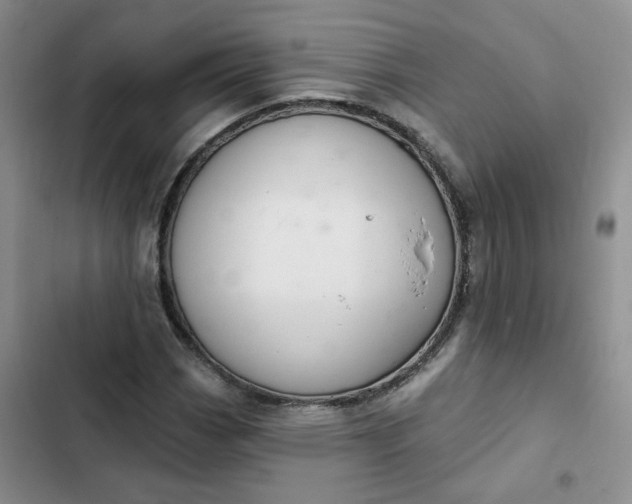 X0000102501113200808221747