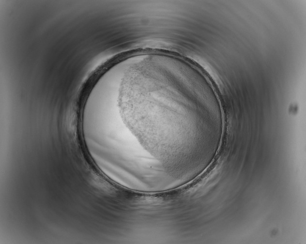 X0000102501115200808221747