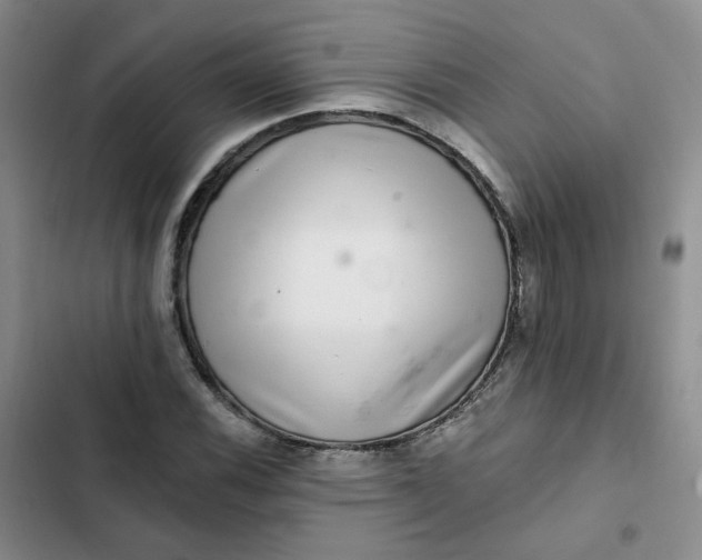 X0000102501116200808221747