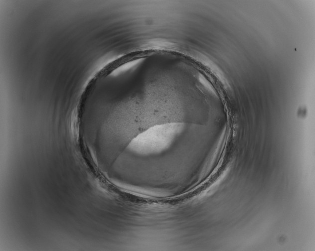 X0000102501117200808221747