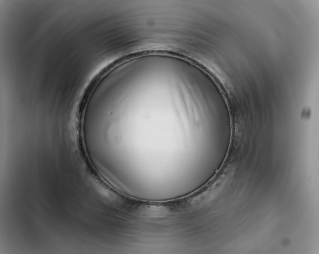 X0000102501119200808221747