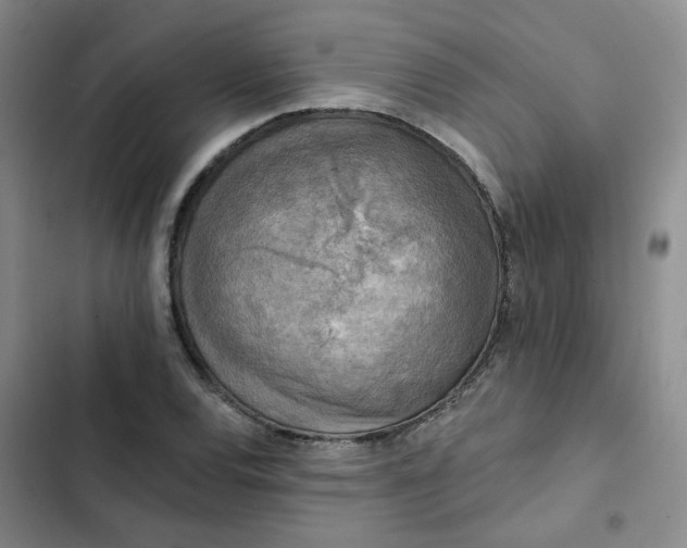 X0000102501120200808221747