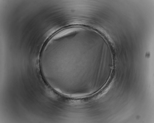 X0000102501121200808221747