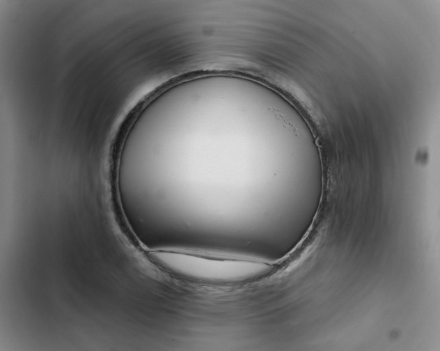 X0000102501122200808221748