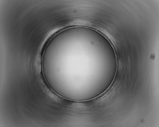 X0000102501123200808221748