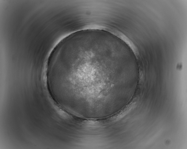 X0000102501124200808221748