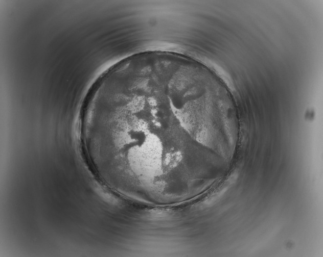 X0000102501125200808221748