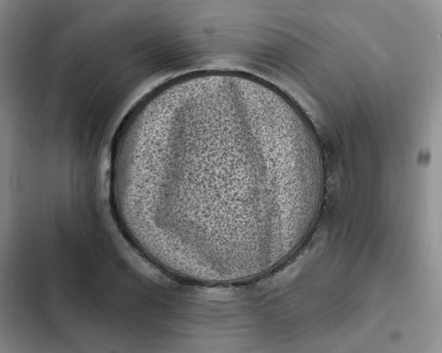 X0000102501126200808221748