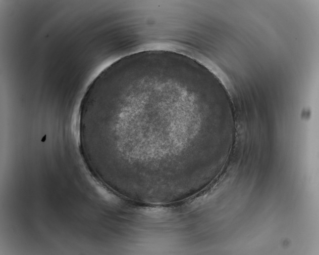 X0000102501127200808221748