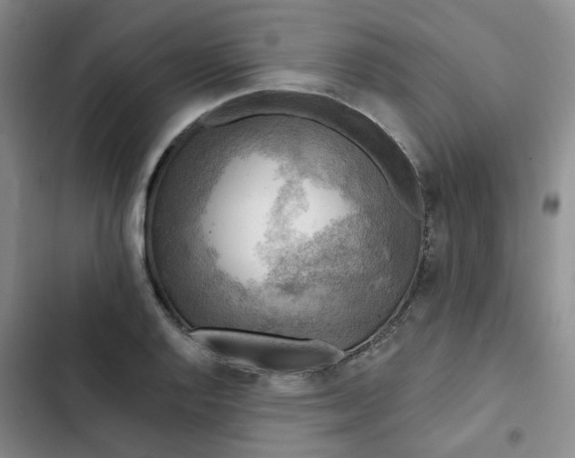 X0000102501128200808221748