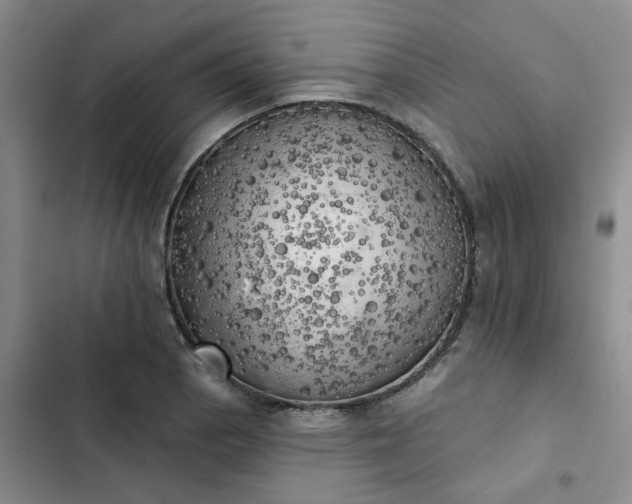 X0000102501129200808221748