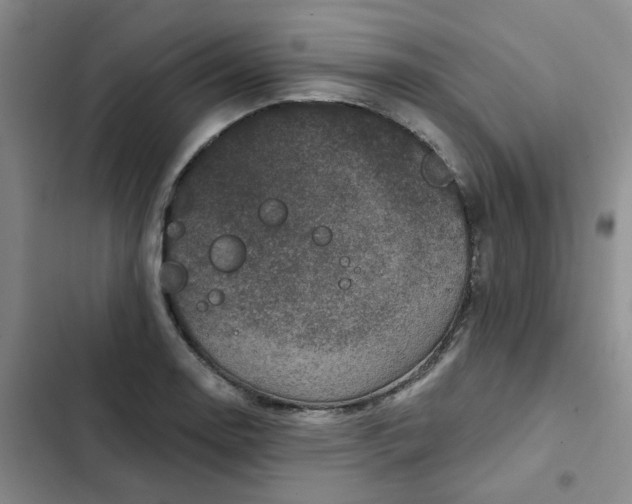 X0000102501130200808221748