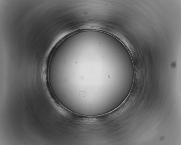 X0000102501131200808221748