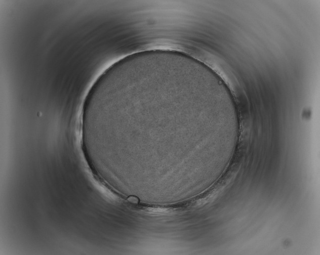 X0000102501132200808221748