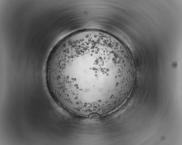 X0000102501133200808221748