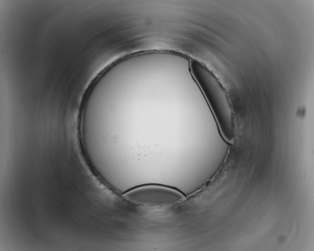 X0000102501134200808221748