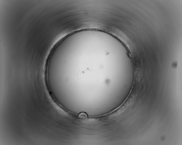 X0000102501135200808221748