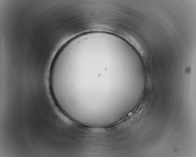 X0000102501136200808221748