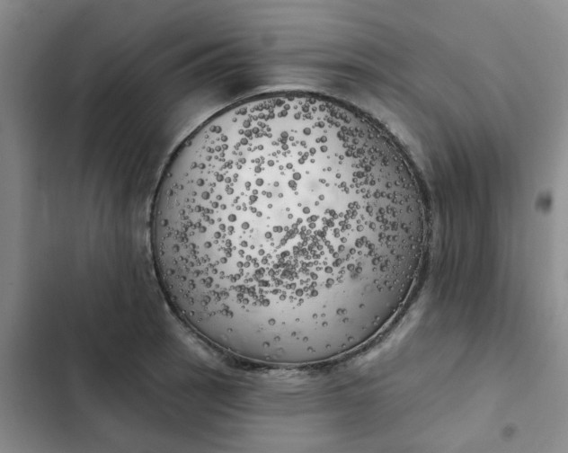 X0000102501137200808221748