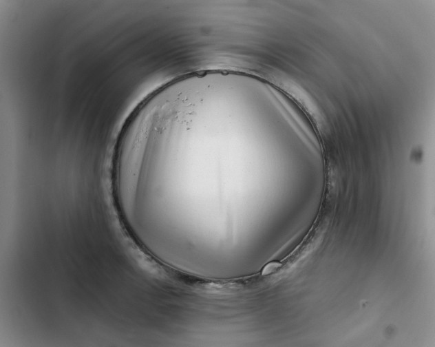 X0000102501138200808221748