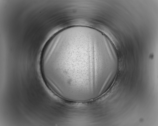 X0000102501139200808221748