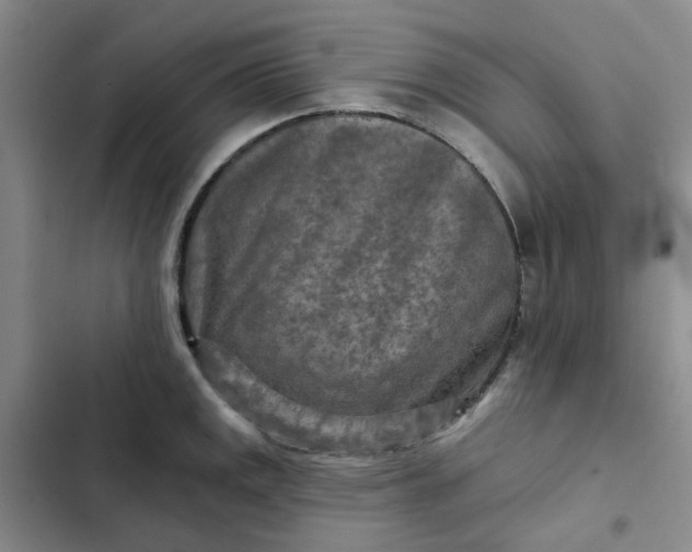 X0000102501141200808221748