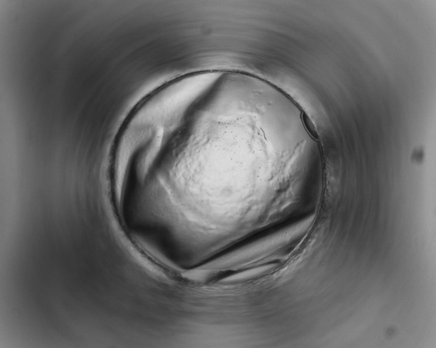 X0000102501142200808221748