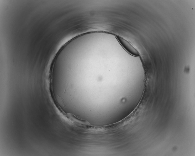 X0000102501143200808221748