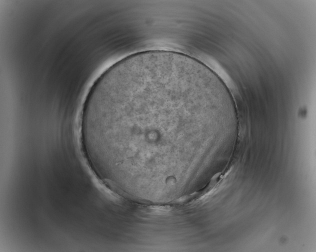 X0000102501144200808221748