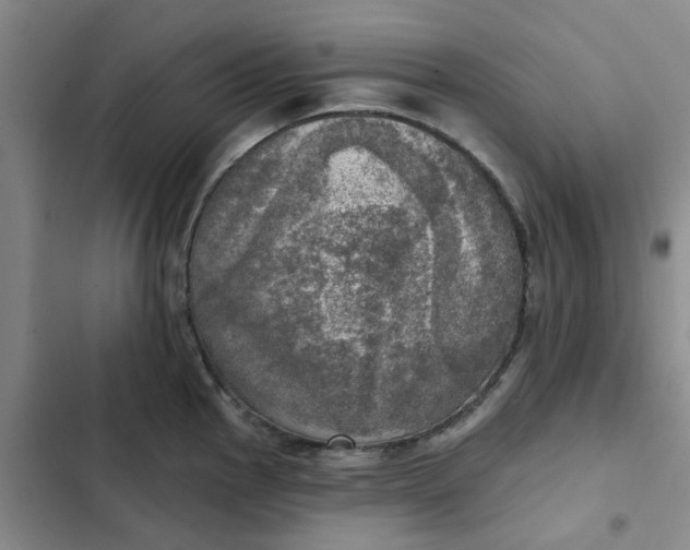 X0000102501145200808221748